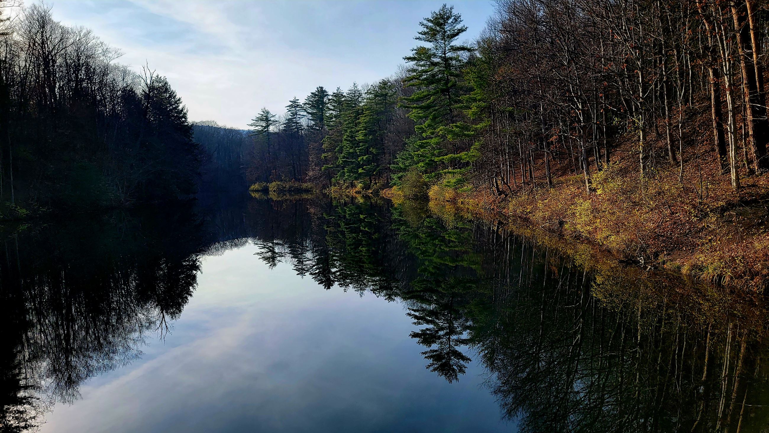 Picture taken by C. Cassulis of Mt. Hope reservoir, the trees are reflected in the still water. 
