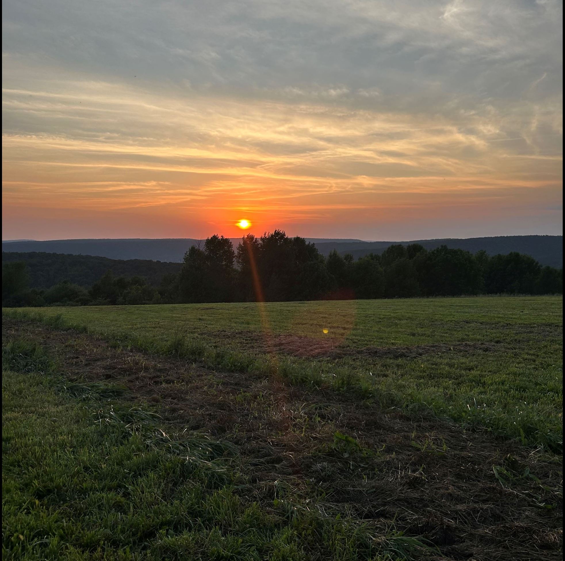 Picture taken by T. Wicks of a sunset over a field. 